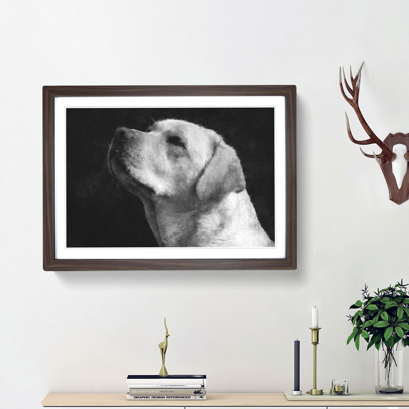 Labrador Dog - Picture Frame Photograph Print, 33cm H x 45cm W x 2cm D, Walnut Framed