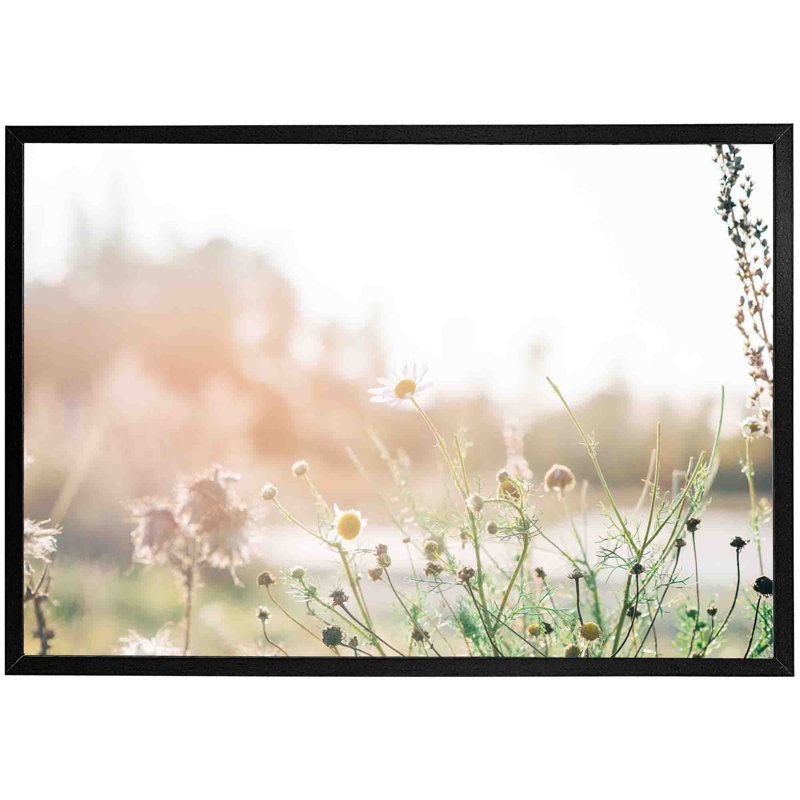 Arnetra Wild Daisies - Single Picture Frame Print, Black, 41cm H x 61cm W x 4cm D