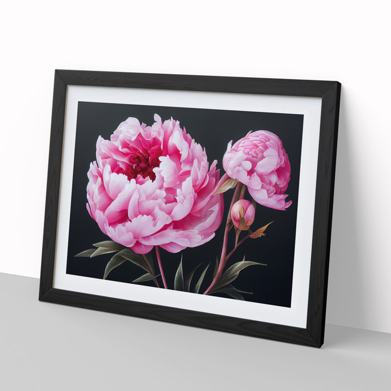 Adorable Peonies - Single Picture Frame Painting, Black Framed, 25cm H x 34cm W x 2cm D