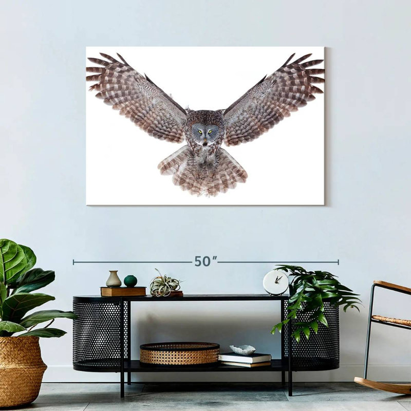Owl Power, H 30 po x l 45 po