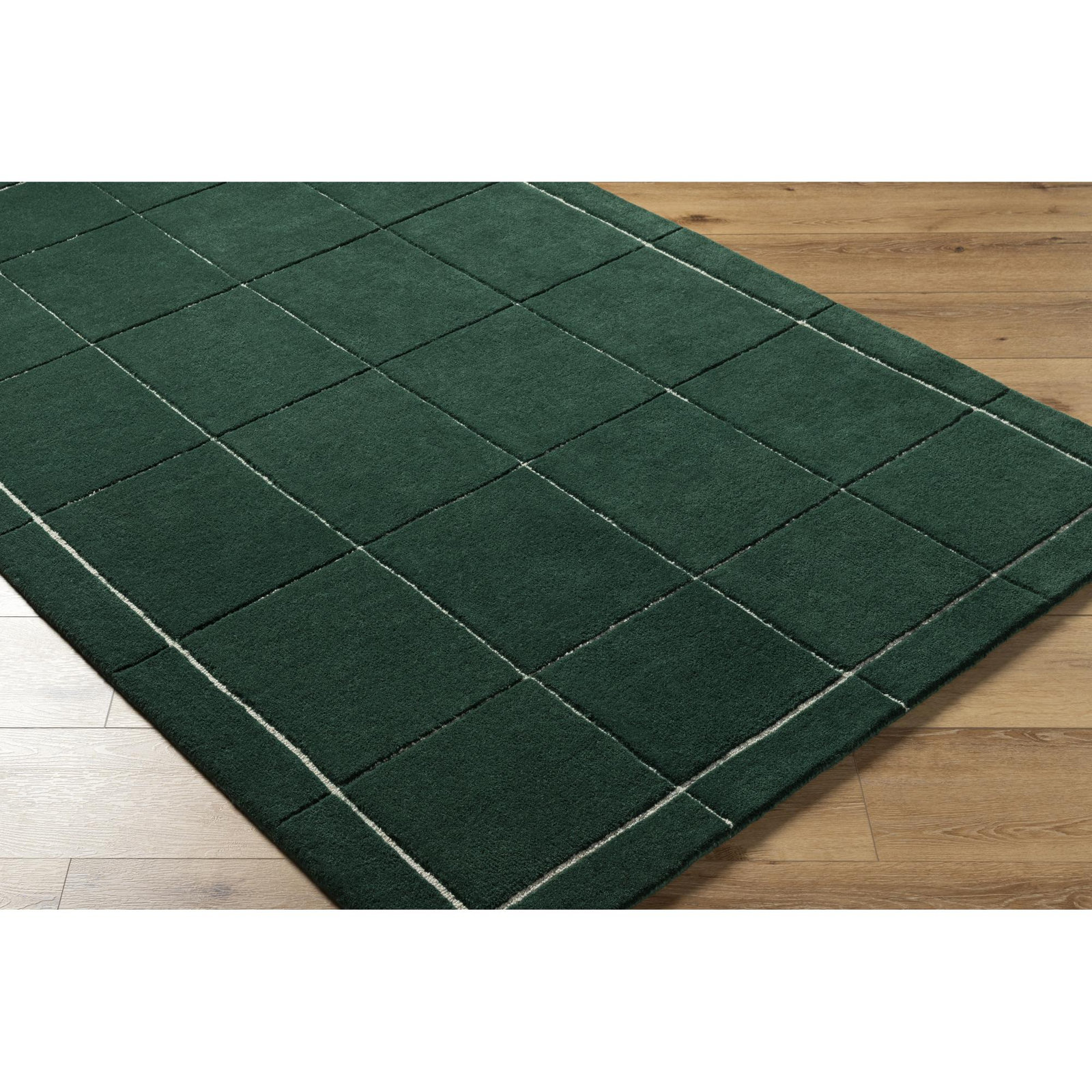 Mallory Hand-Woven Green Rug, Rectangle 2' x 3'