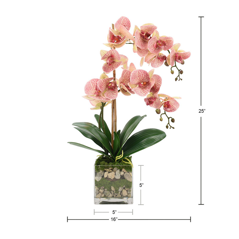 Arrangement floral orchidée en pot