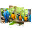 Brampt Macaw Party-108893084