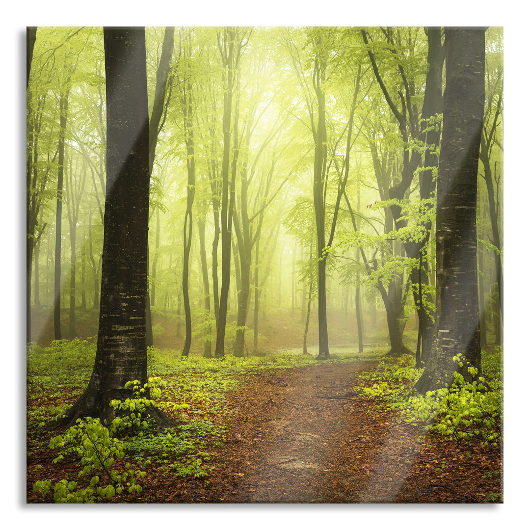 Glasbild Weg im Wald