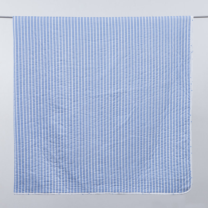 Blue Twin Reversible Microfiber Quilt Set