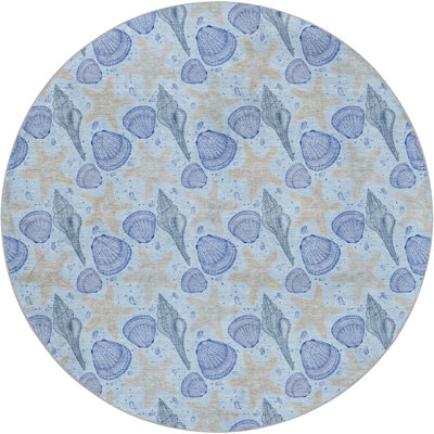 Premium Machine Washable Dream Shag ADS183 Shells Rug