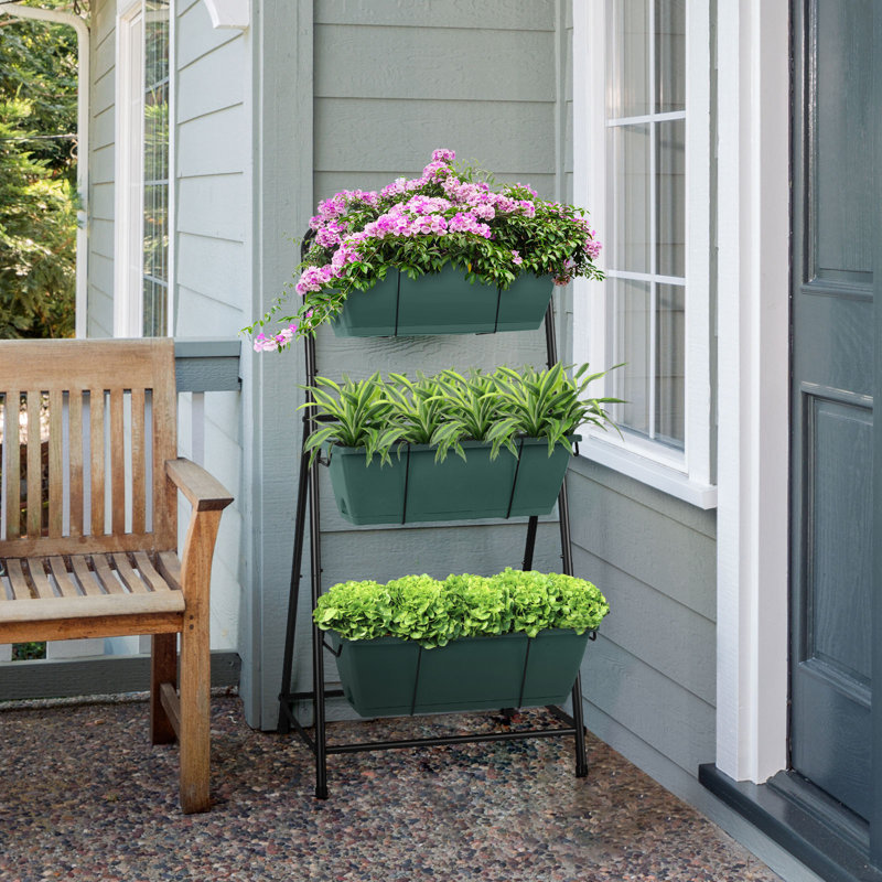 Cailidh Vertical Garden, Green