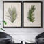 Palm Botanical I - ensemble de 2 photographies sur toile-1425392437-1425392431-1350425248