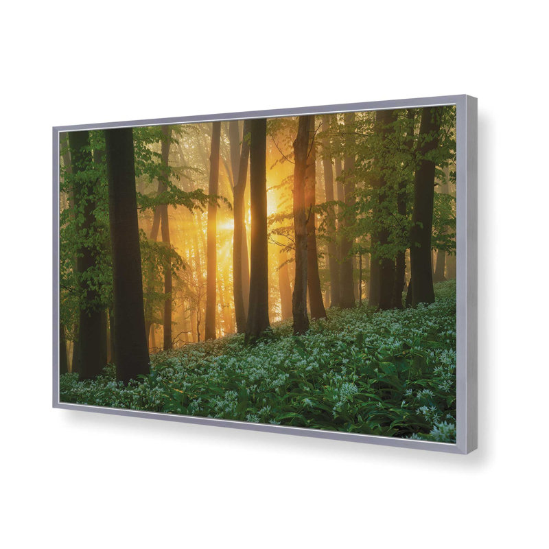 «Spring Magic» par Martin Podt, reproduction d'art, Argent, L 18 po x H 12 po, Impression encadrée