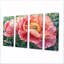 Pivoine d'été en pleine floraison III - art mural pivoine - ensemble d'art mural moderne-651443909-651443904