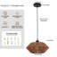 1 - Light Matte Black Single Pendant