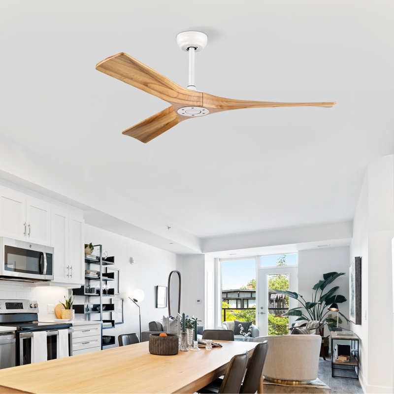 KempBlan Ventilateur de plafond intérieur / extérieur sans lumière, télécommande