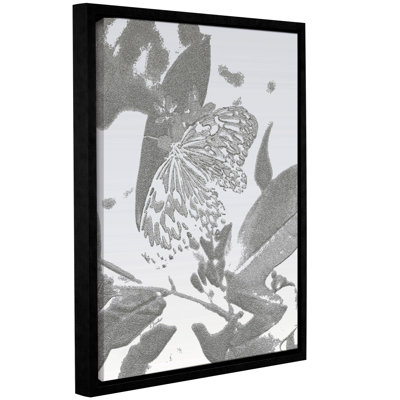 « minuit papillon silver », reproduction d’impression sur toile encadrée