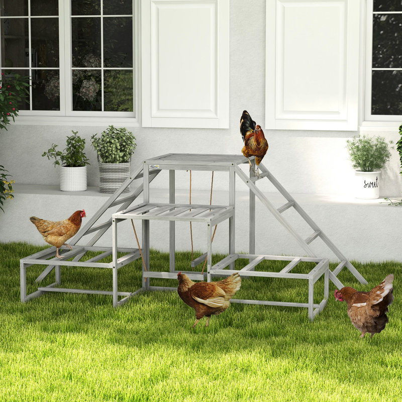 Un poulailler gris - des perchoirs, des plateformes pour 10 à 15 poulets créent un poulailler dynamique avec des poussins