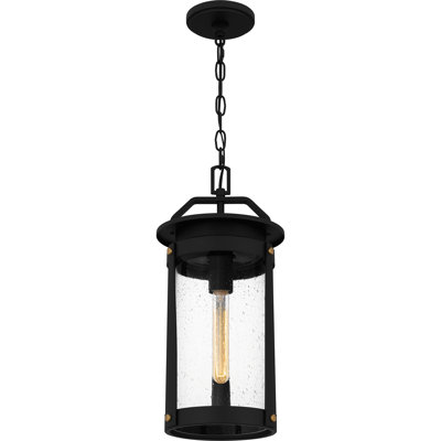 Lanterne suspendue d'extérieur à 1 ampoule noire H 18,75 po Arvik