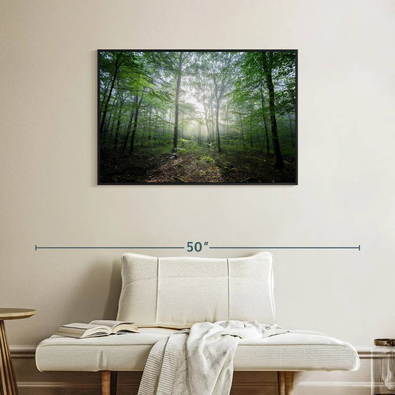 Lighting Forest II, Cadre flottant noir, 37 po x 25 po