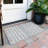 Aleighna Area Rug with Non-Slip Backing-763010355