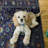 Farhaad Navy And Blue Runner Rug-55623863