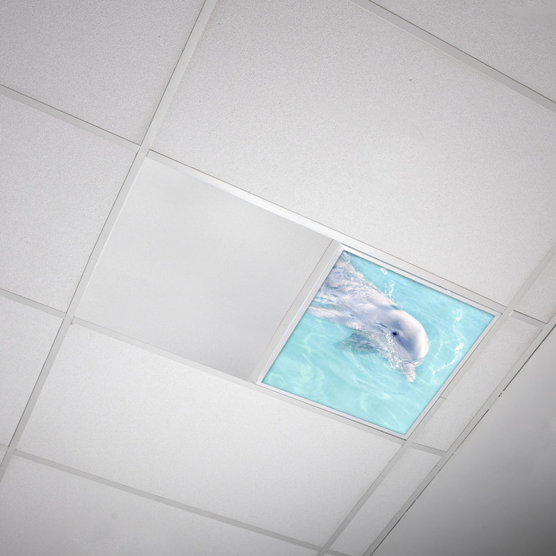 Couvre-lumière décoratif flexible océan