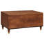 Solid Wood Coffee Table with Storage