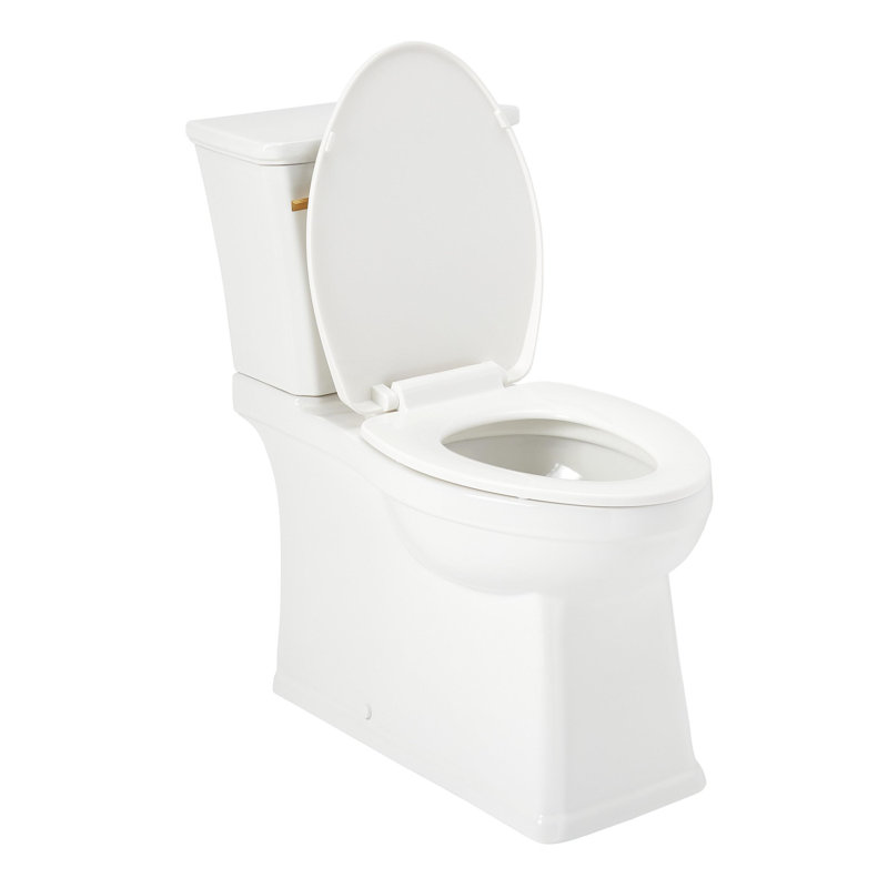Benbrook 1.28 GPF Two Piece Skirted Elongated Toilet, White/Brushed Gold