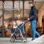 Jogger Monarch Premium - or luxueux