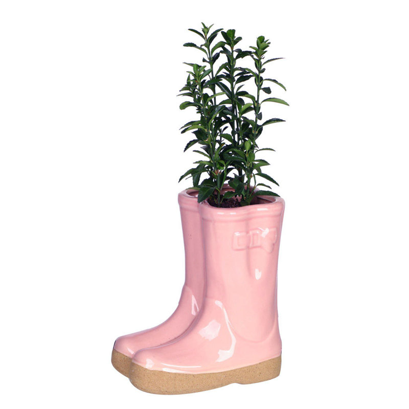 Carlson Ceramic Pot Planter, 17cm H x 15cm W x 10cm D, Pink