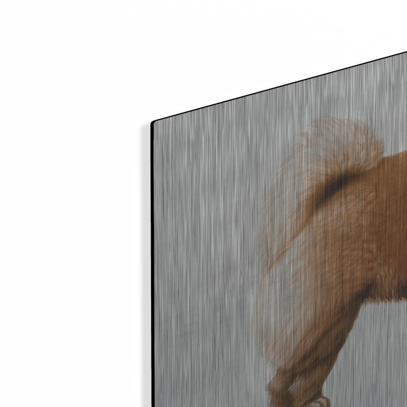 «Chow Chow» par Harro Maass, H 12 po x l 16 po
