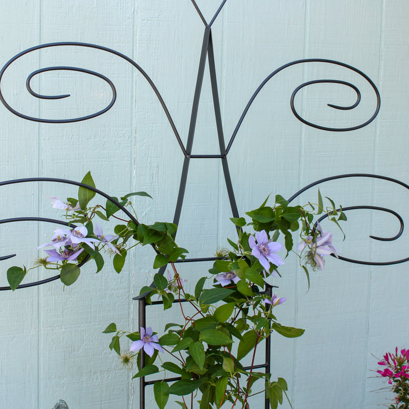 Treillis papillon