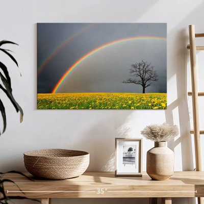 Alvord arc-en-ciel au-dessus d'un champ de fleurs