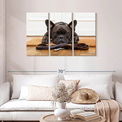 Bouledogue français en attente