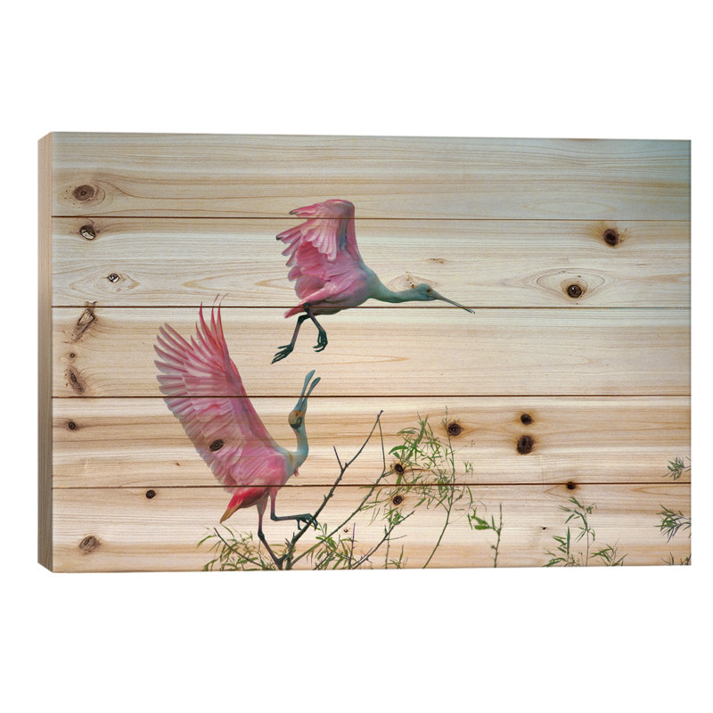 "Rosy pair" par C. Mei, impression sur bois sans cadre, L 40 po x H 26 po