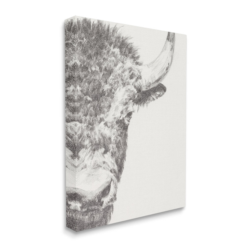«Wild Bison» par Ethan Harper, reproduction d'art sur toile tendue, Toile tendue, H 20 po x l 16 po x P 1,5 po