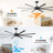 Vaczon 100 Inch Industrial Black HVLS Ceiling Fan with Remote Control, Windmill Large Aluminum Blades Ceiling Fan without Light-1797658473