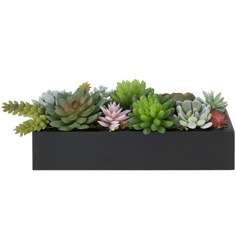 5'' Faux Succulent Plant in Wood Planter