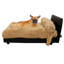 Mid-Century Dog Sofa-1953814888-1953814889