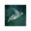 Marine Collection II Print by GI Lab-26945458-26945460