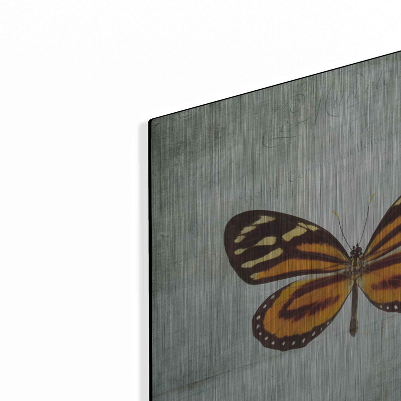 «French Butterfly VIII» par Debra Van Swearingen, H 12 po x l 12 po