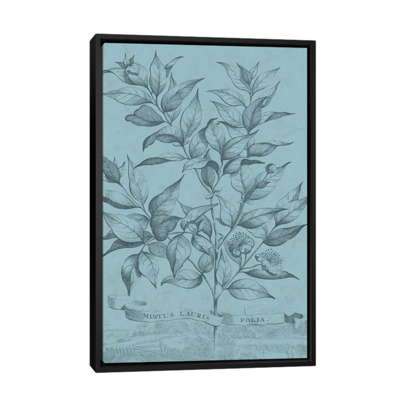 «Botanical on Teal I», impression sur toile, H 26 po x l 18 po x P 1,5 po, Toile avec cadre noir