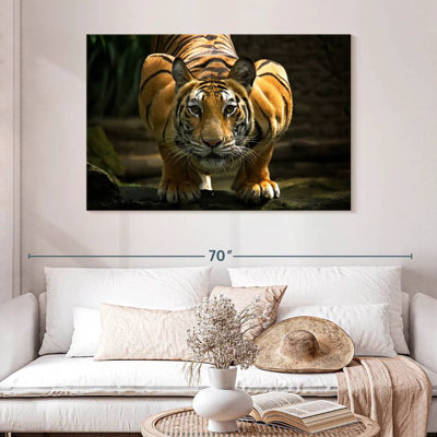 Brampt Fearless Tiger