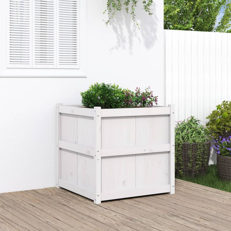 Jardinière en bois massif Latitude Run® 27,6 po x 27,6 po x 27,6 po pin massif, Blanc