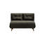 Varujhan 2 Seater Sofa Bed-1464465507-1464465506-1407565412
