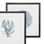 Corail 2 - ensemble de 2 reproductions d'art graphique-27610076