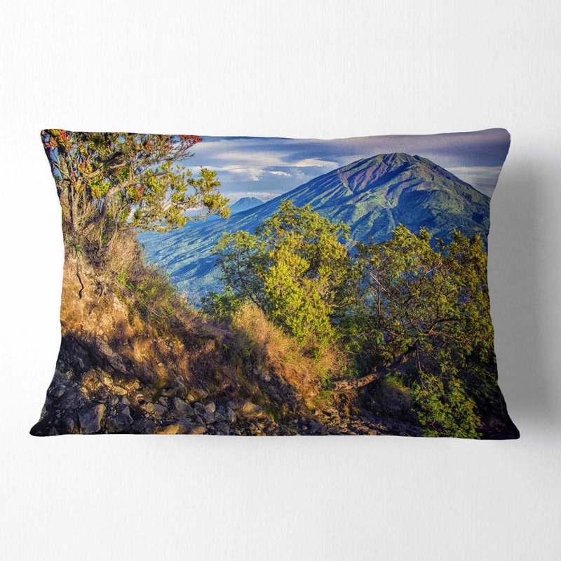 Coussin Merbabu Volcano in Java - Landscape