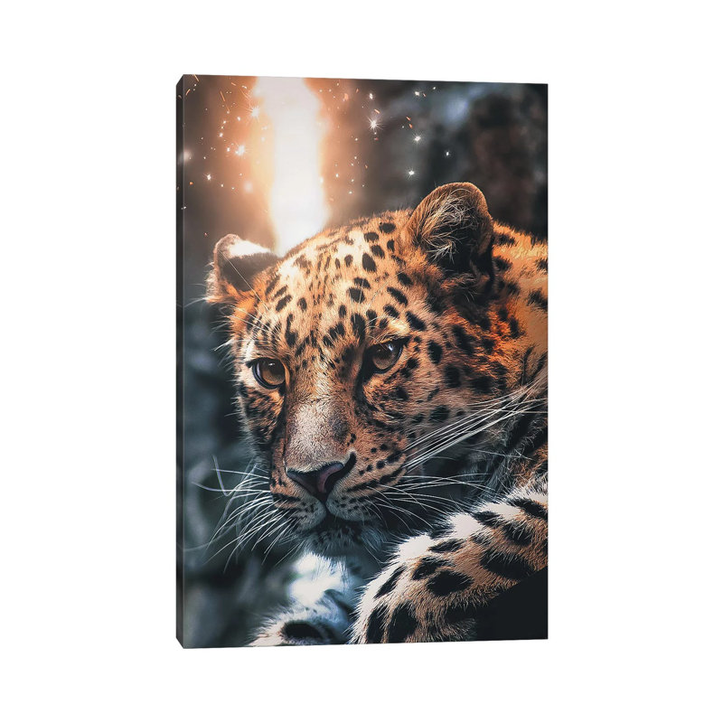 Leopard Sparkles by Zenja Gammer - Wrapped Canvas Print, 20.32 cm H x 30.48 cm W