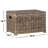Whyte Wicker Trunk
