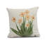 Housse et insert de coussin carré Farmers Market-26014251-26014255