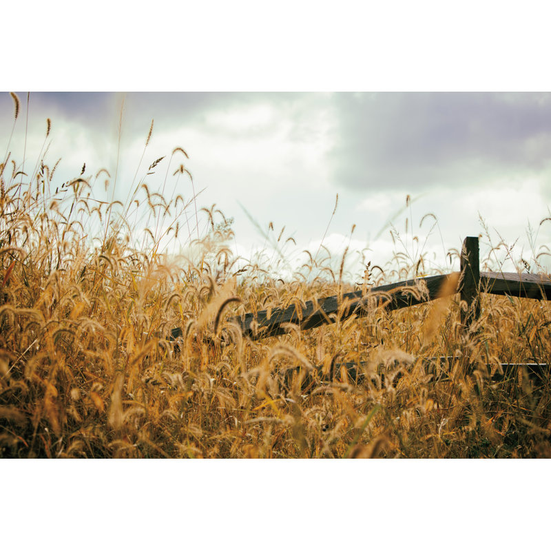 «Fencerow Crop» par Aledanda Print, H 8 po x l 12 po, Non, Toile tendue