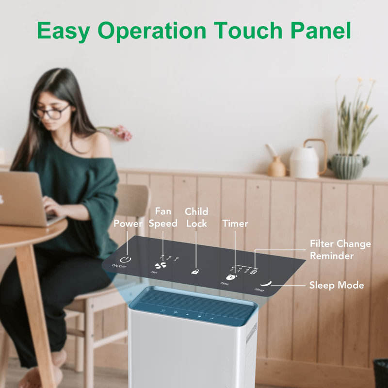 Purificateur d'air avec filtre HEPA