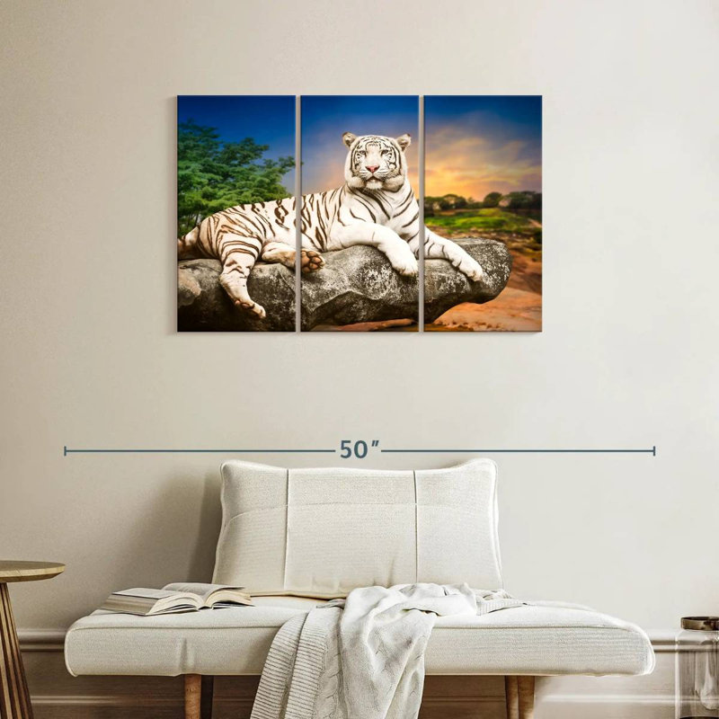 Brampt White Bengal Tiger, 24" H x 38" W